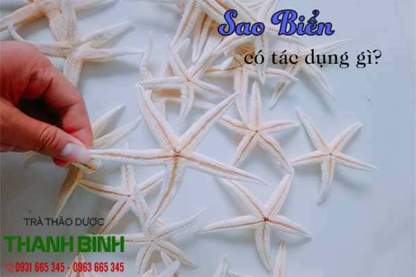 sao biển thảo dược thanh bình